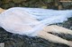 A woman in a white dress is floating in the water.